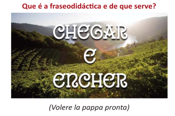 Actividade no CEG de Padova