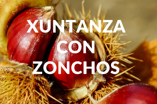 Magosto 2019 no Algarve