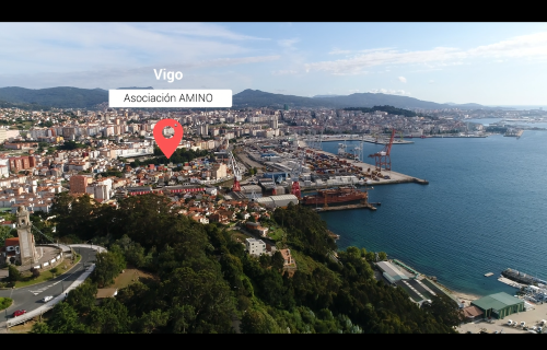 Amino. Gustavo del Río Prieto