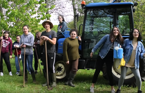 Ao son do rural (canción)