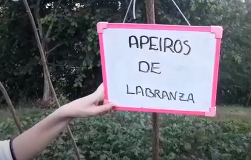 Atinando co Dígocho eu