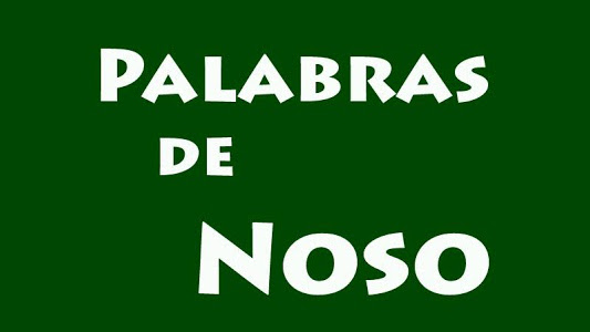 App Palabras de noso 