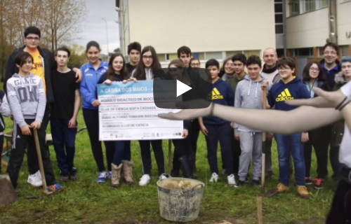 Bioconstrución (titorial TinkerCad)