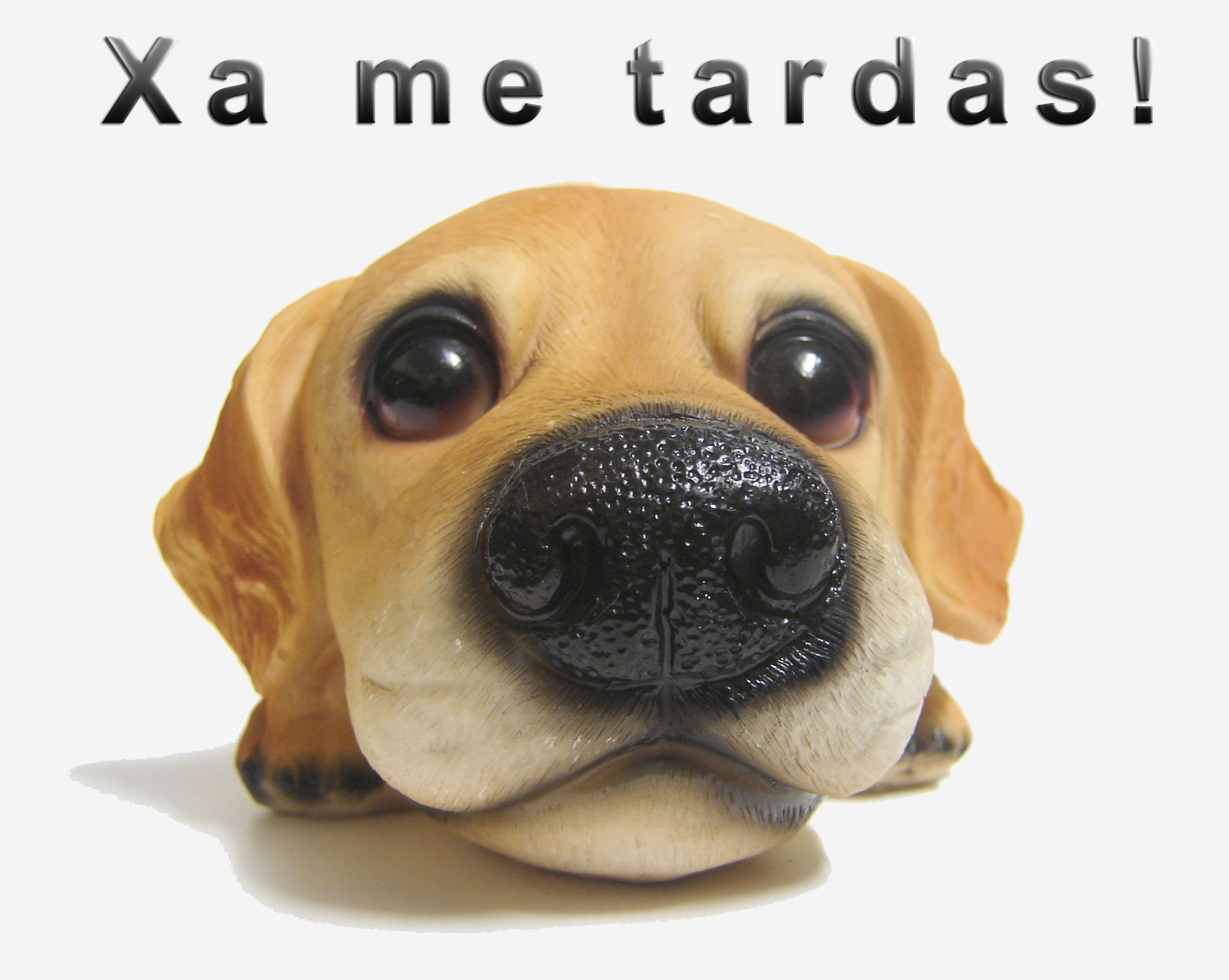 Felicitación de parte dos teus amigos