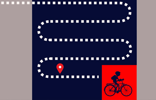 O Camiño de Santiago a pedais. Francisco Outeiral Coira