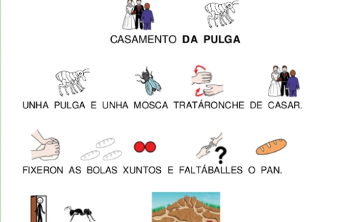 Imaxe Casamento da pulga