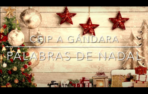 As palabras de Nadal