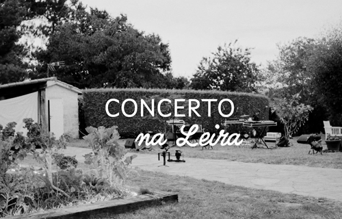 Na leira. Discotrompo