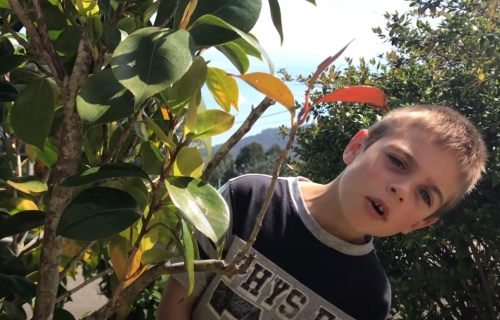 IV Concurso de booktrailers