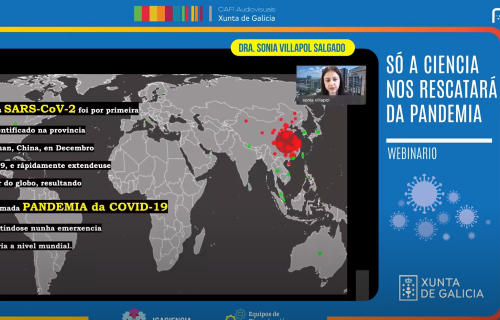 Conferencia 'Só a ciencia nos librará da pandemia', de Sonia Villapol