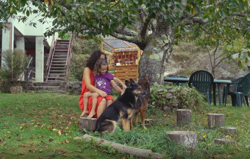 Crianza. Sétima SCG