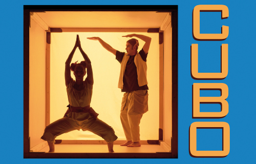 Cubo. Elefante Elegante