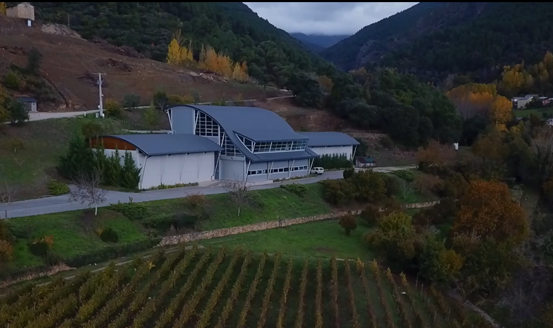 Entre Viñas. Cristian Leggiero e Paty Lesta