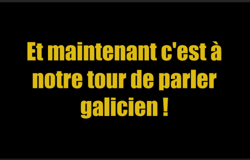 Guía de conversa francés-galego / miniobradoiro