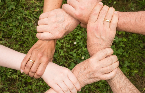 Igualdade de xénero