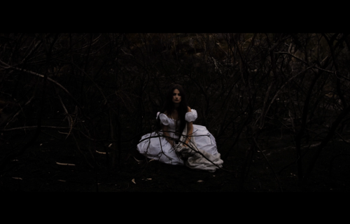 Araña. Yolanda Castaño