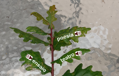 Leitura colaborativa-expansiva de Ricardo Carvalho Calero (repositorio)