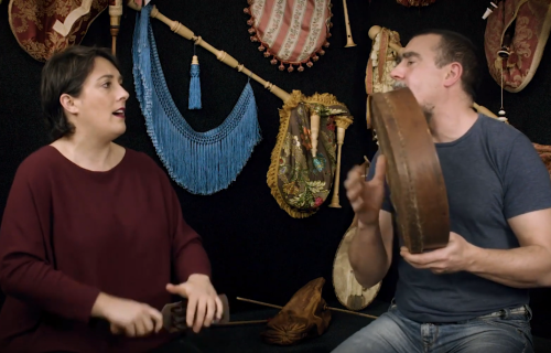 Concerto didáctico: música e evolución