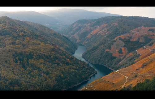 Música na Ribeira. Dezasete Grados