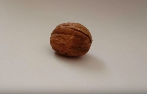 Curtametraxes premiadas no III Certame Ofelia Devesa de Educación Activa