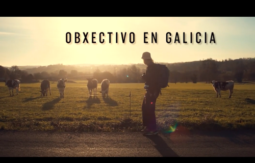 Obxectivo en Galicia. Elemental Chefs