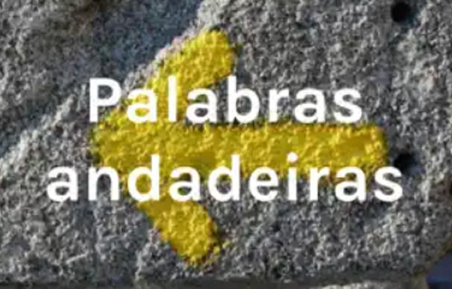 Palabras andadeiras. Soledad Felloza