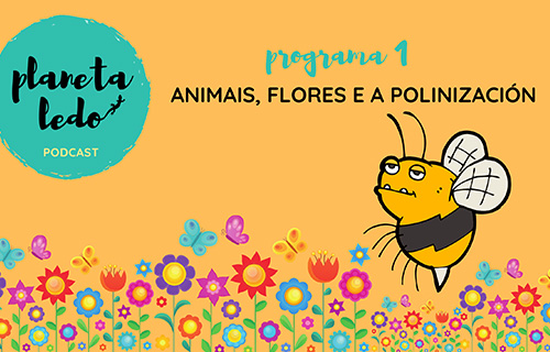 Planeta ledo. Xiana Fernández-Albor Batallán