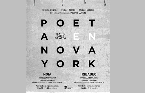 “Poeta: Burbulla Educativa”, Paloma Lugilde