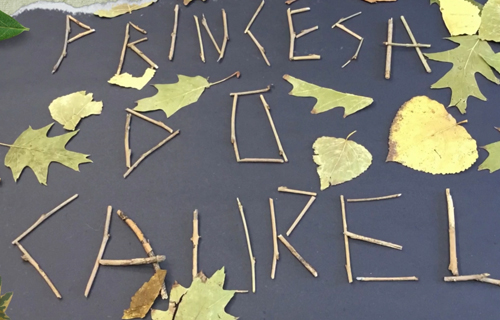 A princesa do Caurel