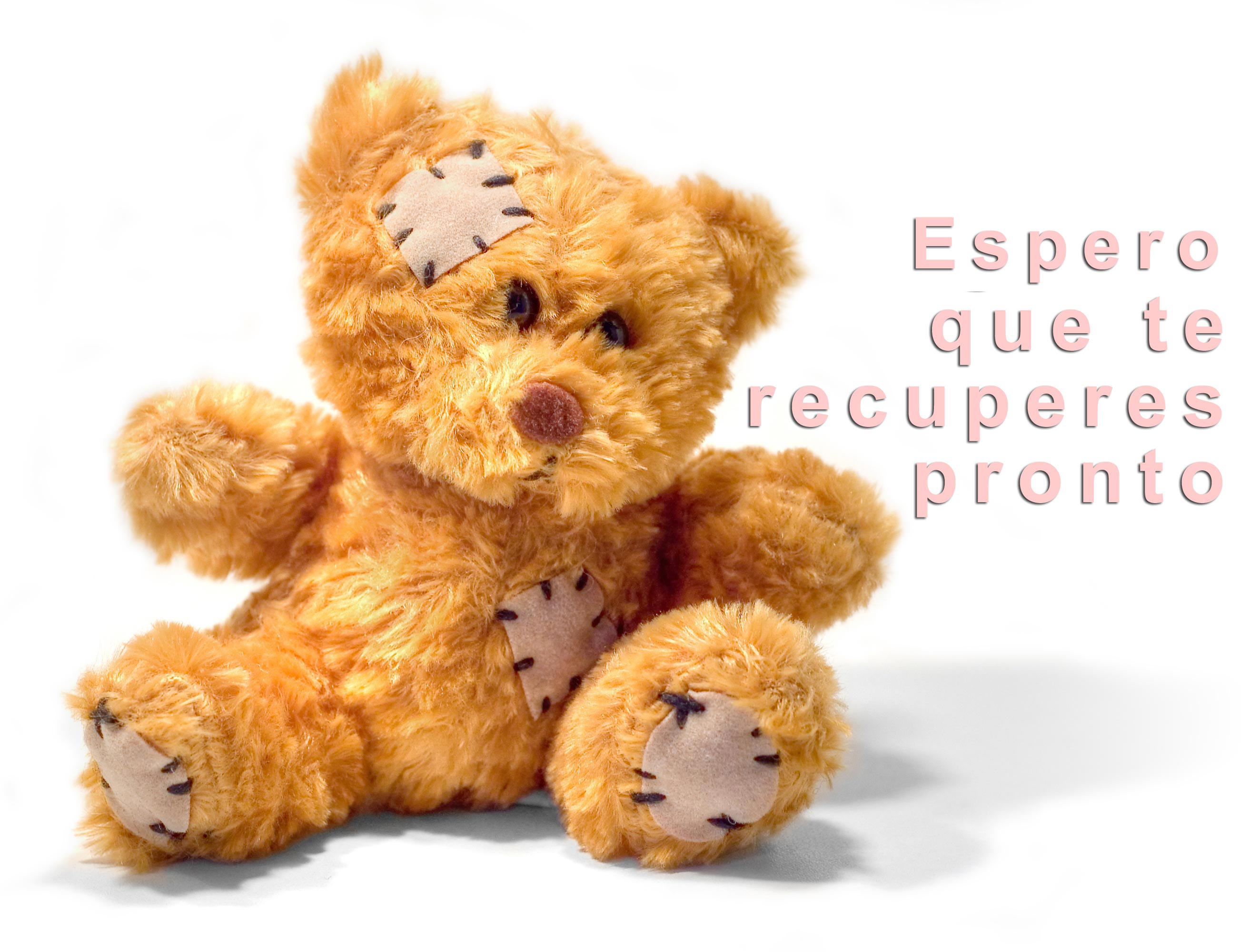 Postal na que se pode ler: 