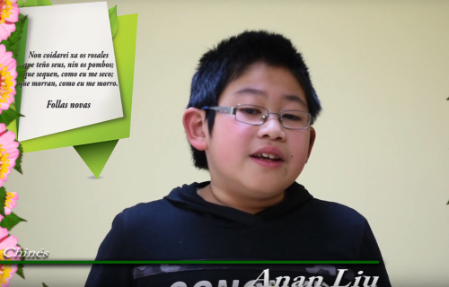 Rosalía multilingüe