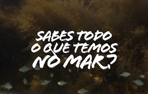 Sabes todo o que temos no mar? Jaime Beiro Formoso