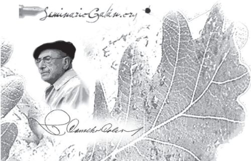 Imaxe Biografía de Ricardo Carvalho Calero