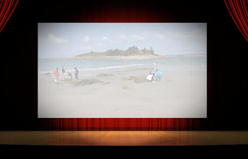 Curtametraxe SOS Pokemon