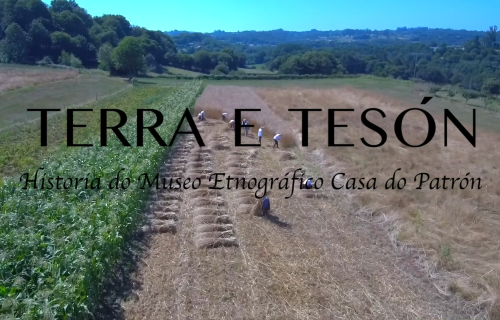 Terra e tesón