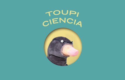 Toupiciencia. A xanela do maxín