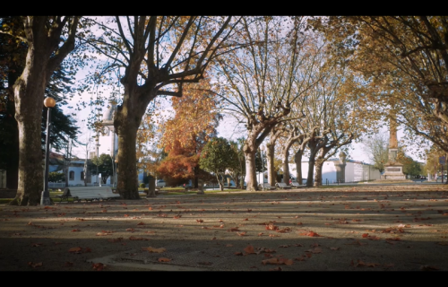 Ver para ler. Pablo Santiago Martínez
