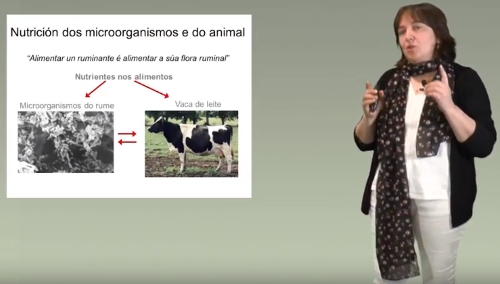  Colección de Vídeos Didácticos