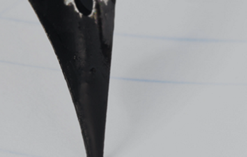 XVI Premio Frei Martín Sarmiento