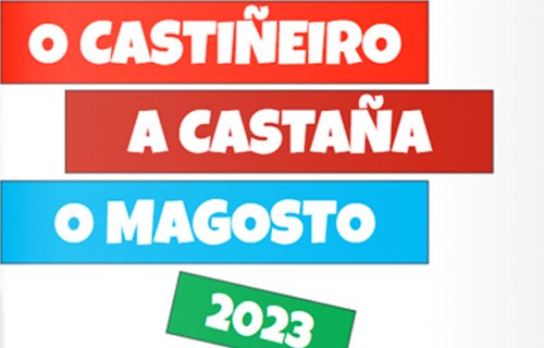 A castaña, o castiñeiro e o magosto 2023