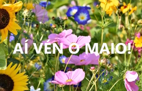 Imaxe Aí vén o maio. Poema de Florencio Delgado Gurriarán