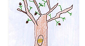 Descubrindo unha árbore 