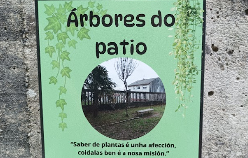 Árbores do patio