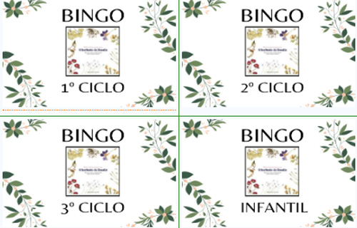 Bingos do herbario de Rosalía 