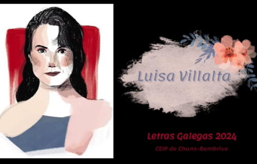 Imaxe Biografía musical Luísa Villalta