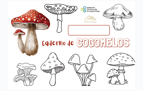 Caderno de cogomelos