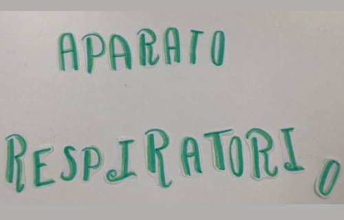 Ciencia en <em>stop motion</em>