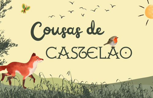 Cousas de Castelao