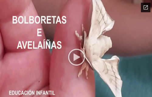 Explorando os bechos