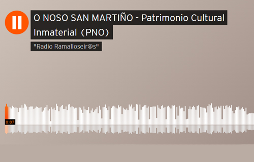 Feira de San Martiño